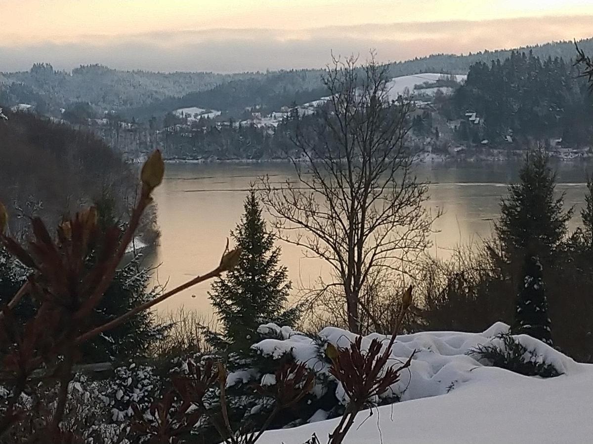 Dom W Bieszczadach 10 Osobowy Villa Wolkowyja Bagian luar foto